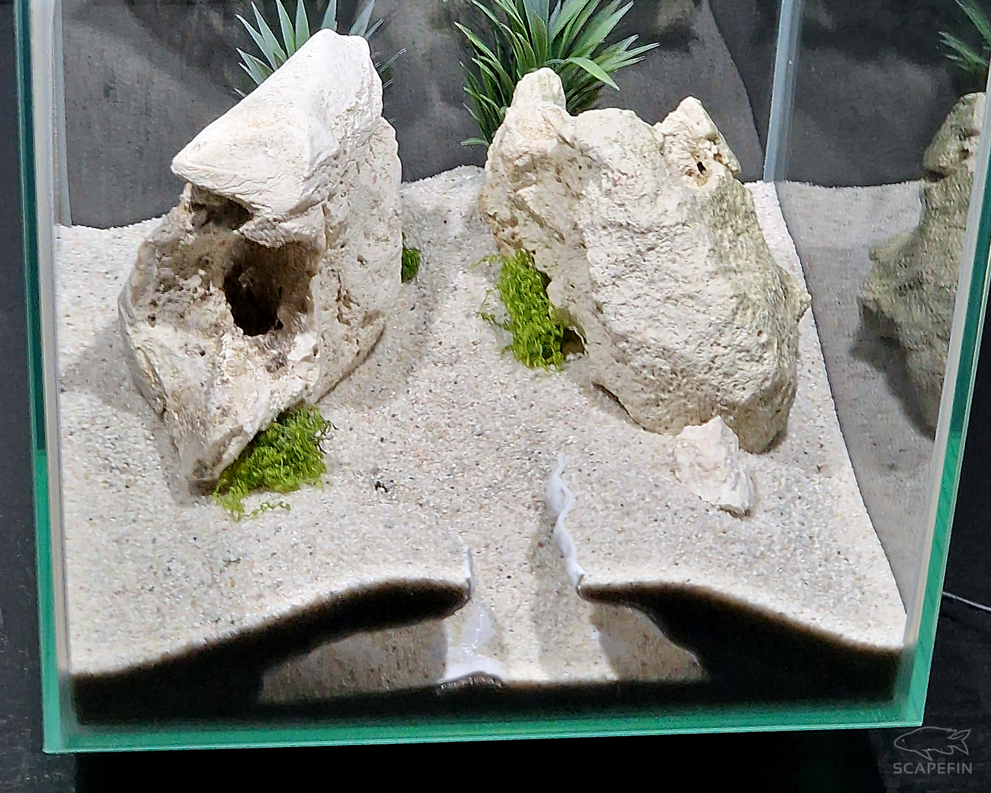 NEW! Severance Observation Cave | Aquarium & Terrarium Decor | Natural Hide for Fish, Plecos, Shrimp, Beetles or Reptiles