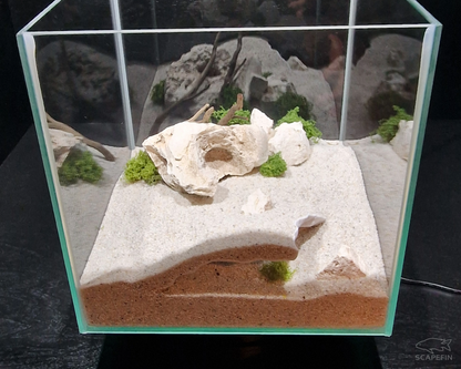 NEW! Cliffside Retreat Observation Cave | Aquarium & Terrarium Decor | Natural Hide for Fish, Plecos, Shrimp, Beetles or Reptiles