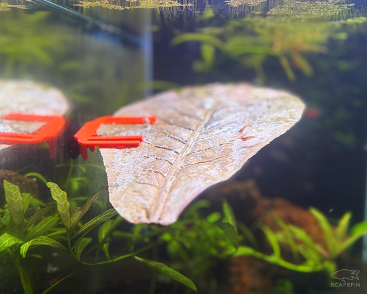 Almond Leaf Holder for Aquariums | Suction Mounted | Ideal for Shrimp & Nano Tanks, Natural Habitat Enhancer