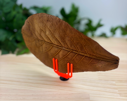 Almond Leaf Holder for Aquariums | Suction Mounted | Ideal for Shrimp & Nano Tanks, Natural Habitat Enhancer