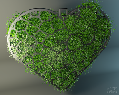 Heart Moss Grow-Out Frame for Aquatic Plants & Tank Decor, Perfect for Shrimp Tanks or Planted Aquariums