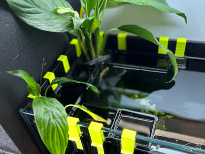 Height adjustable Hanging Planters for Aquariums