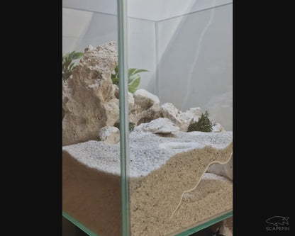 Mira Observation Cave | Aquarium & Terrarium Decor | Natural Hide for Fish, Plecos, Shrimp or Reptiles