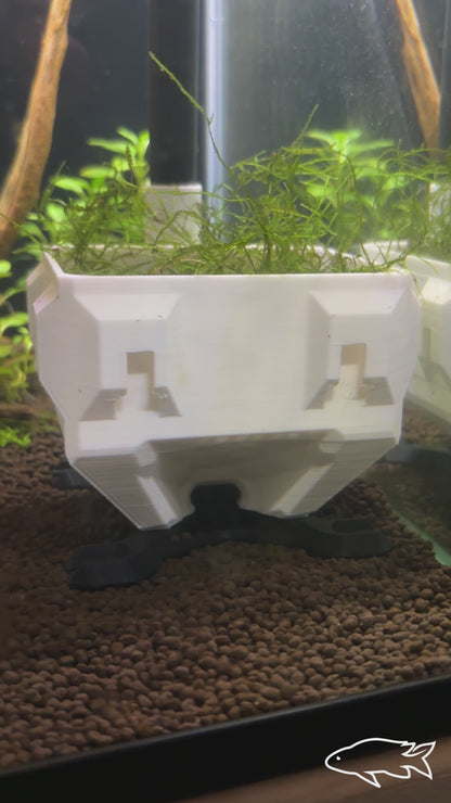 Fish Egg Collector Breeding Trap | Egg Catcher for Rasboras, Danios, and Aquarium Breeding